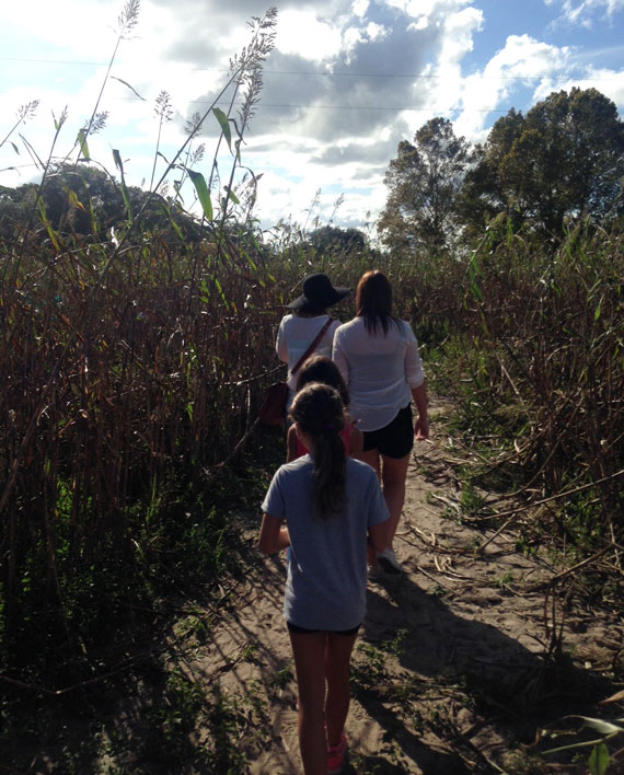 au paire on cornfield path